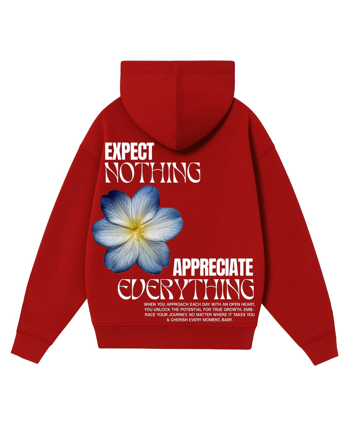 Hoodie expect nothing modelo clásico
