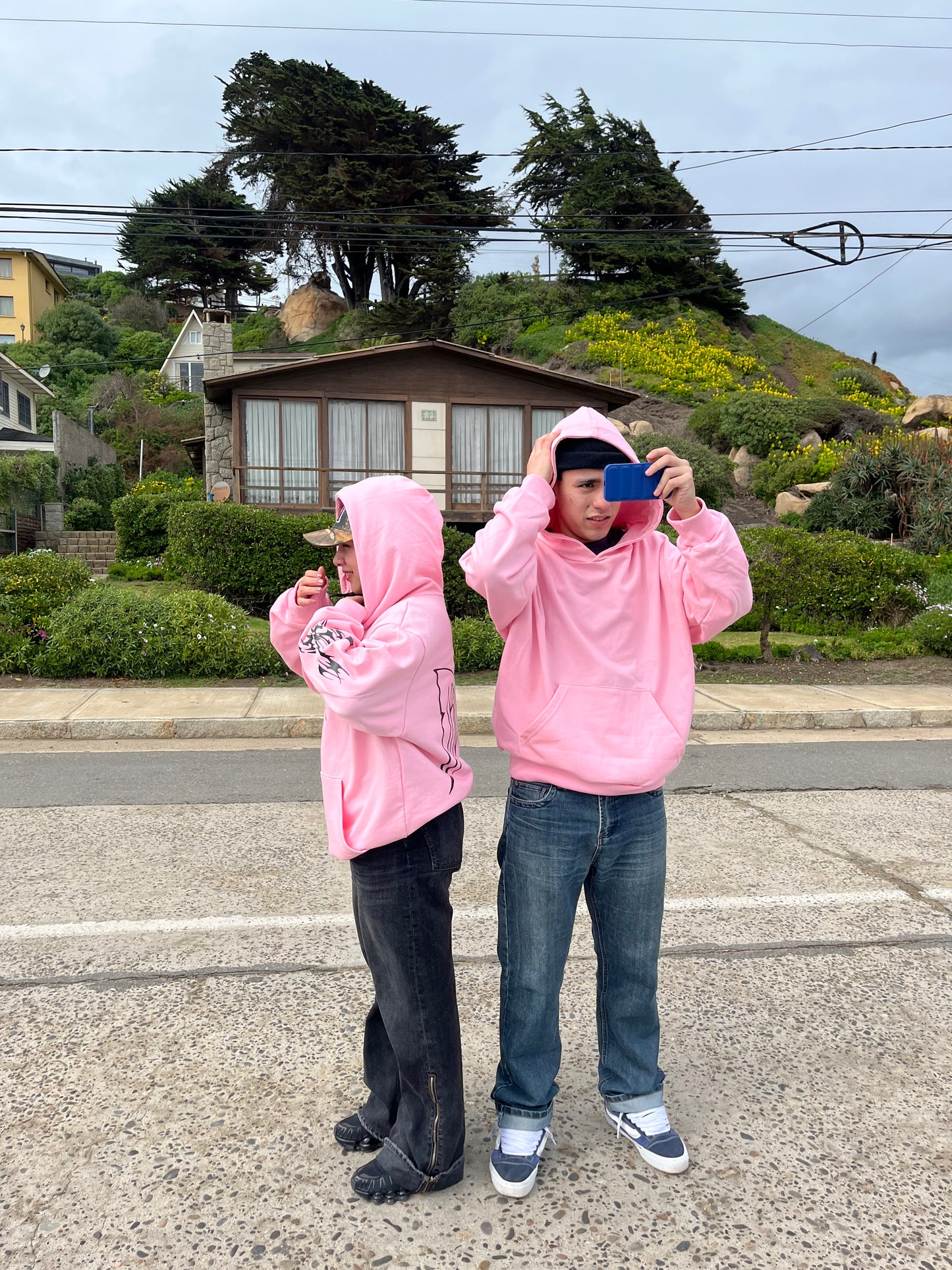 Butterfly Emblem Pink - Hoodie Mangas Globo