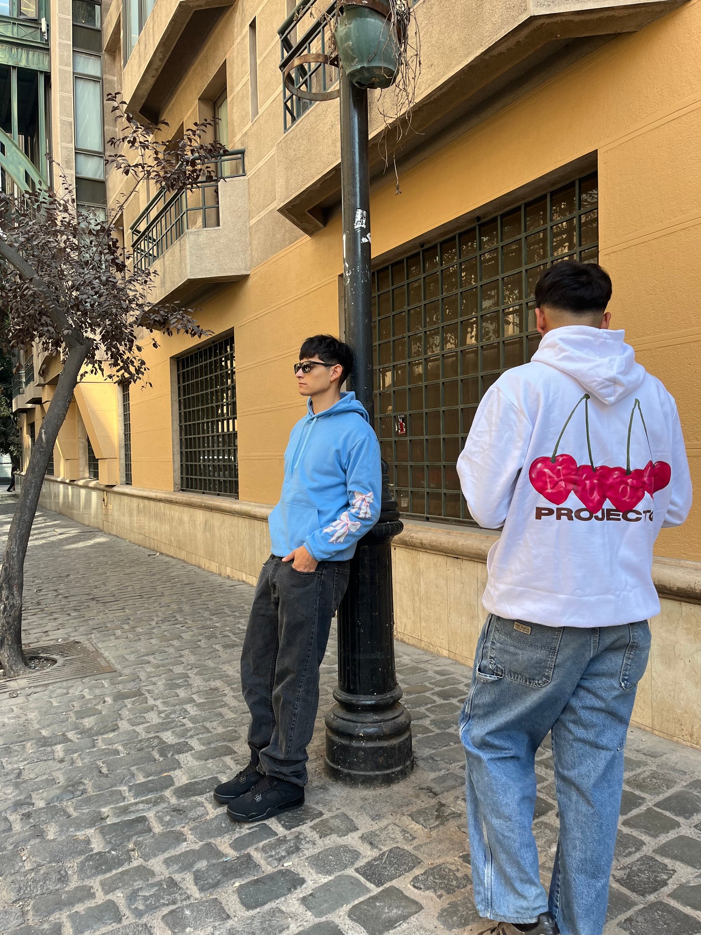Hoodie cherry  modelo clásico celeste pastel