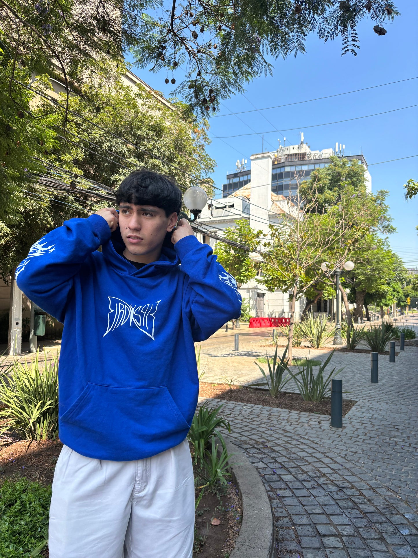 Hoodie Butterfly world modelo mangas globo ⭑ blue