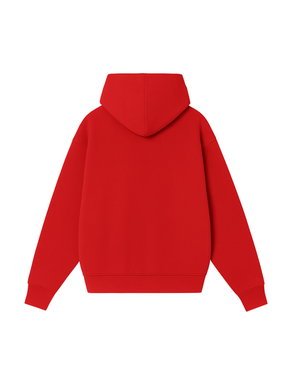 Hoodie basic  zip  modelo clásico