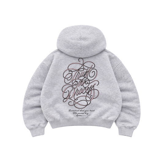 Trust The Process Gris - Hoodie Mangas Globo