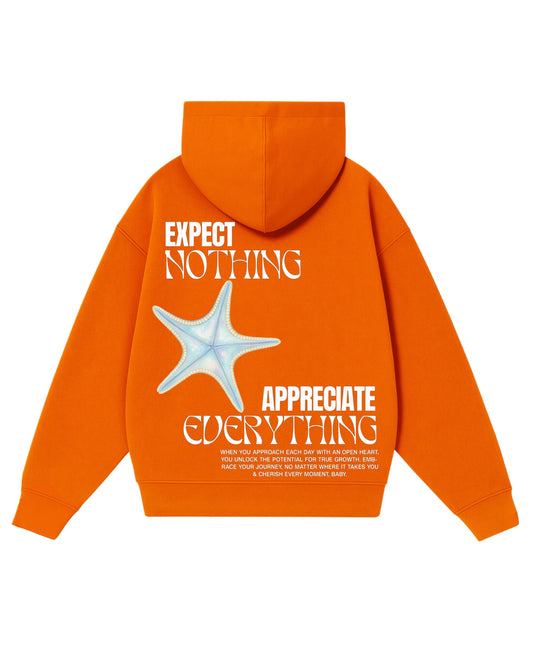 Hoodie expect nothing  modelo clásico