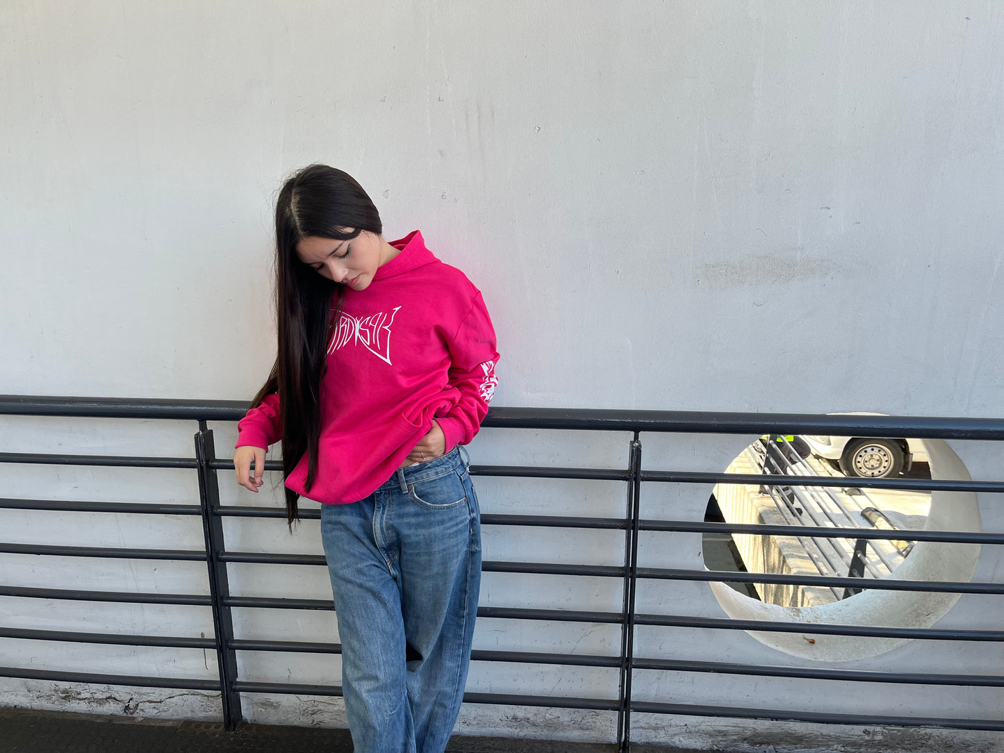 Buttefly Emblem - Hoodie clásico fuscia