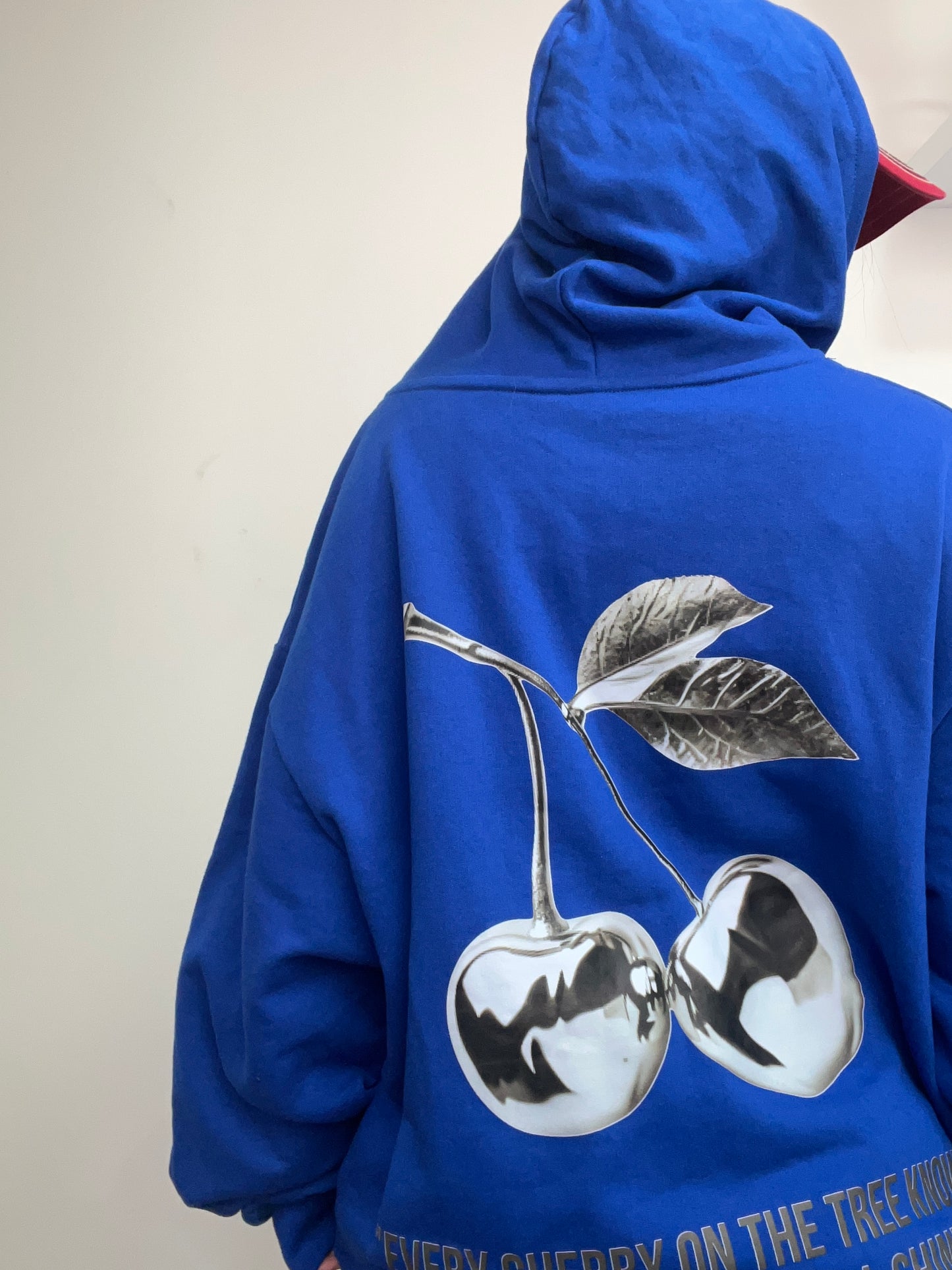 Cherry Silver  -Hoodie Mangas Globos blue