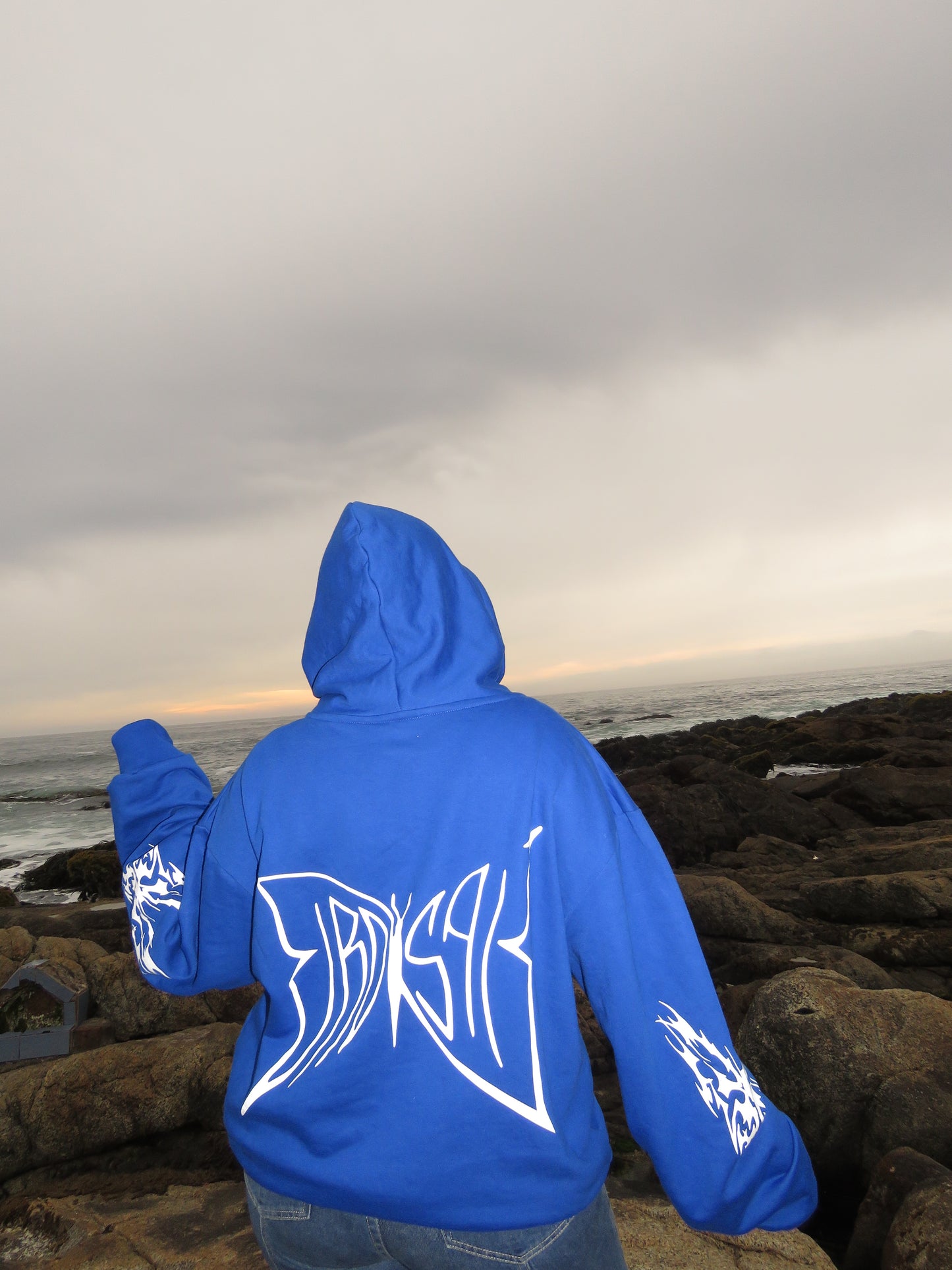 Hoodie Butterfly world modelo mangas globo ⭑ blue