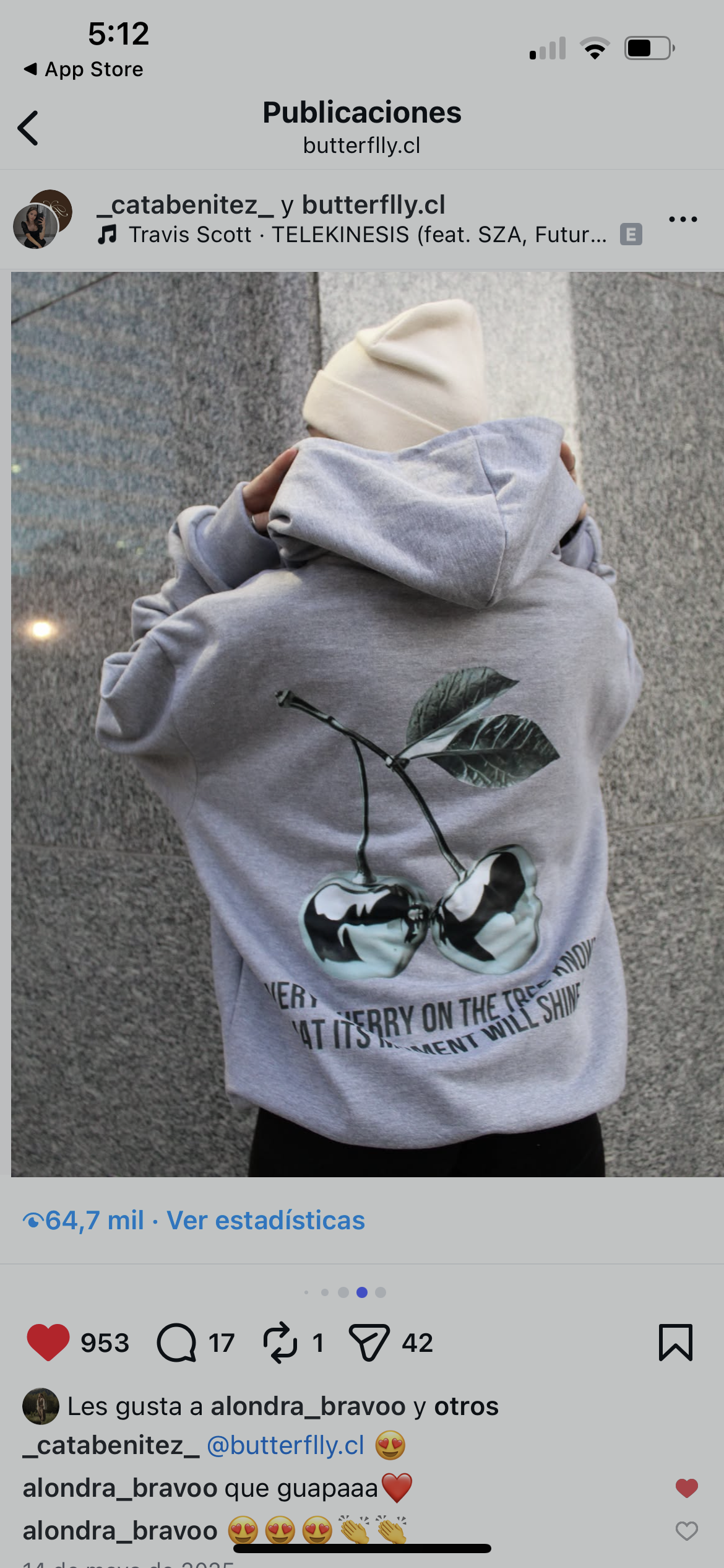 Cherry Silver -Hoodie Mangas Globos grey