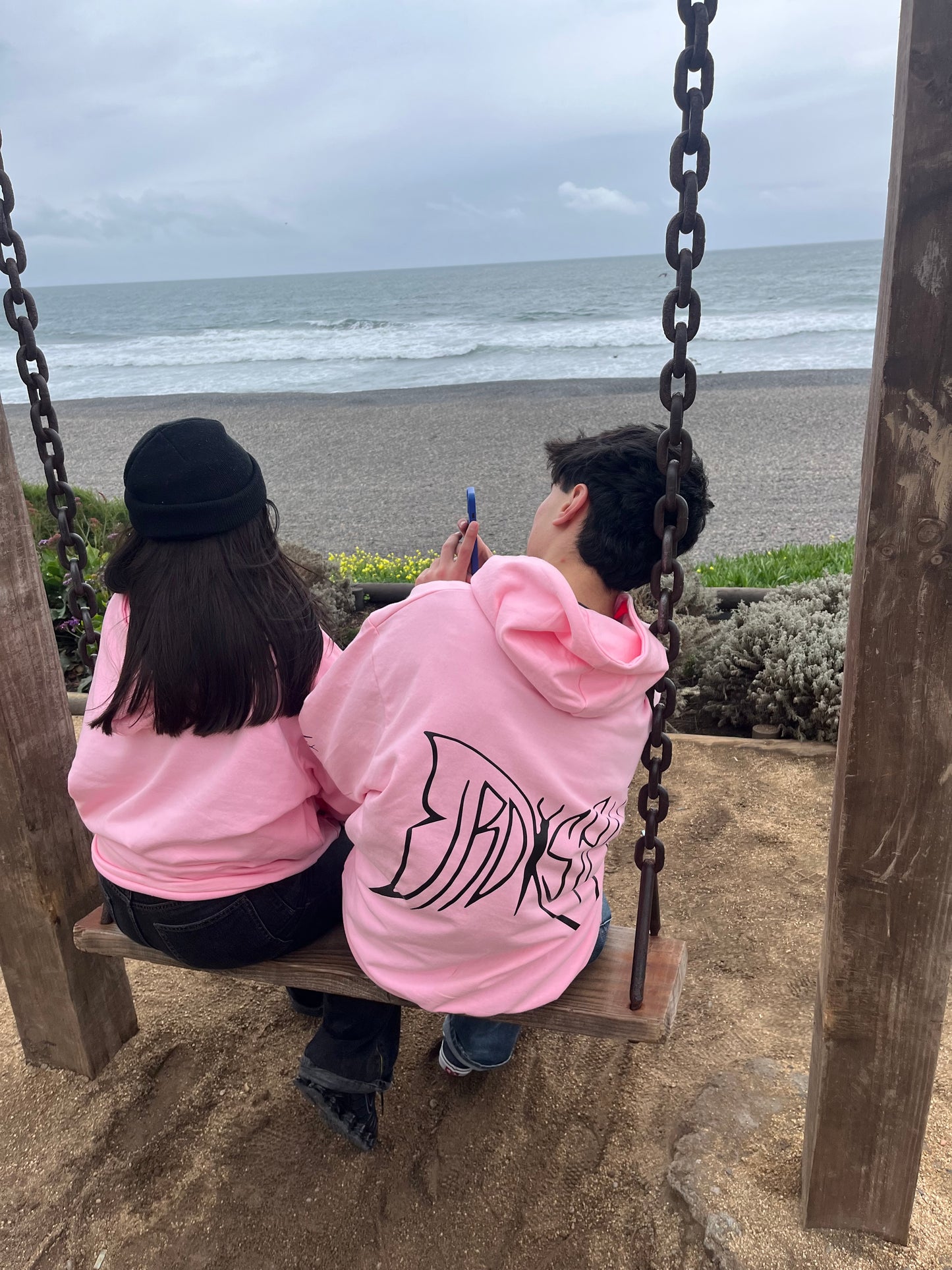 Butterfly Emblem -Hoodie Mangas Globos pink