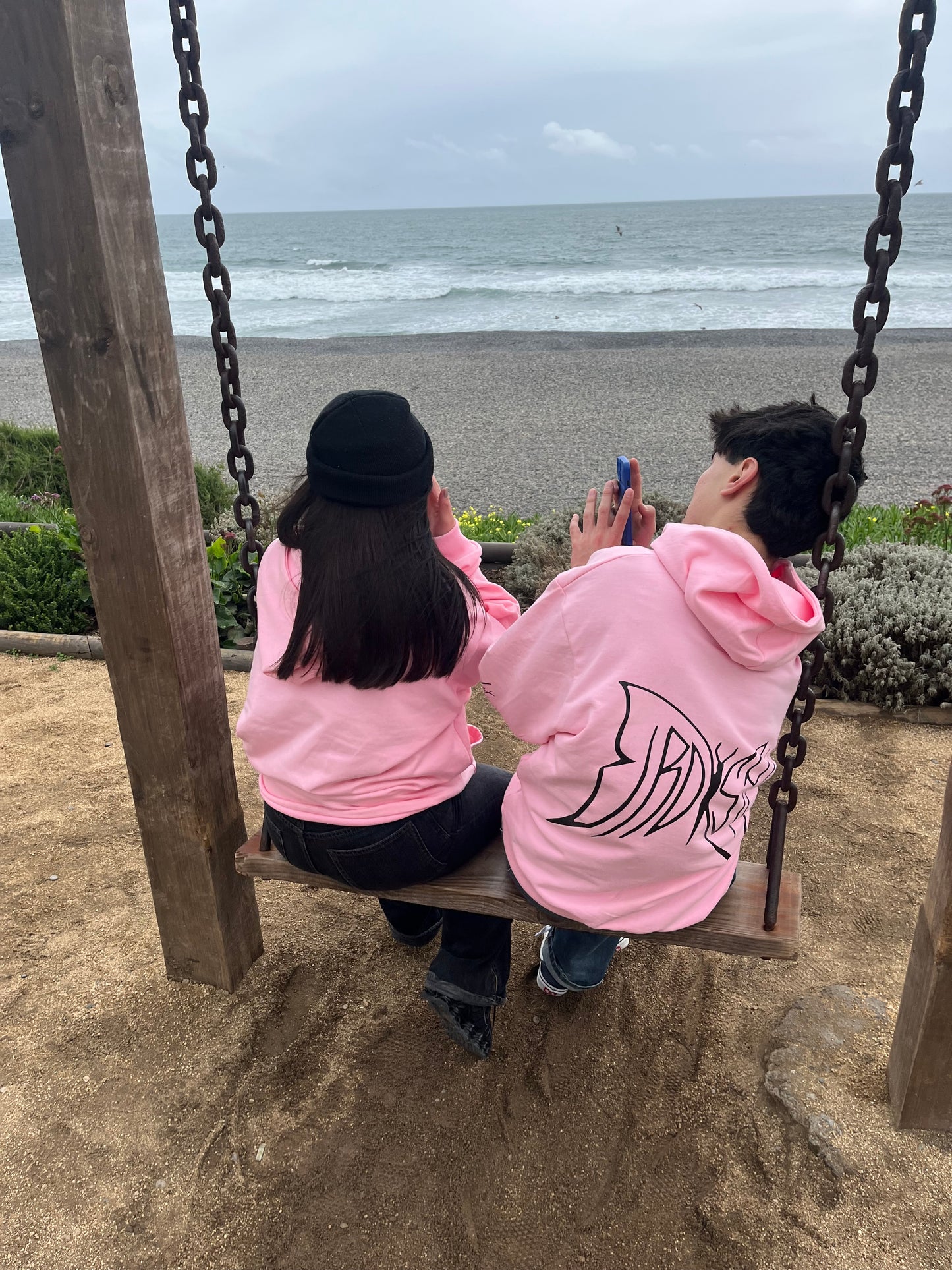 Butterfly Emblem Pink - Hoodie Mangas Globo