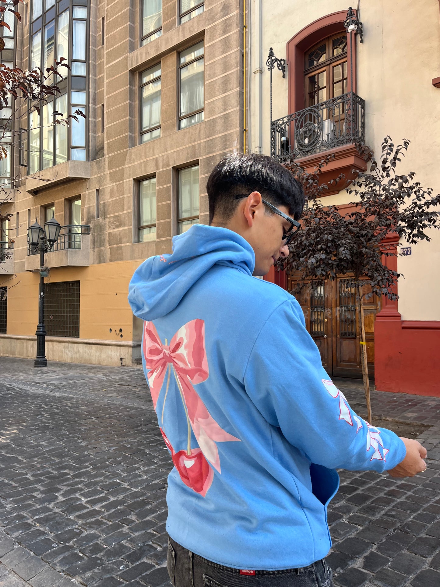 Hoodie cherry  modelo clásico celeste pastel